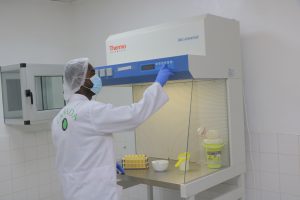 HOTTE BIOLOGIQUE LABORATOIRE DE PARASITOLOGIE