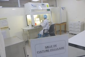 LECTURE D'UNE BOITE DE CULTURE CELLULAIRE