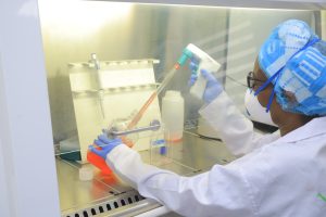 LECTURE D'UNE BOITE DE CULTURE CELLULAIRE