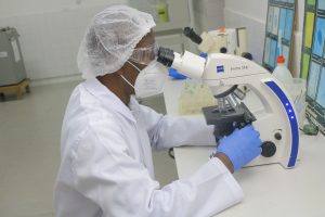 MANIPULATION DANS LA SALLE DE PARASITOLOGIE