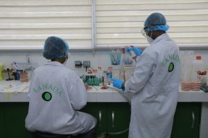 MANIPULATION BACTÉRIOLOGIQUE. SALLE D'ENSEMENCEMENT