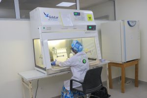 MANIPULATION EN SALLE DE CULTURE CELLULAIRE. LABORATOIRE DE VIROLOGIE