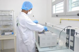 BAIN MARIE BOUILLANT POUR LA FONTE DES MILIEUX DE CULTURE