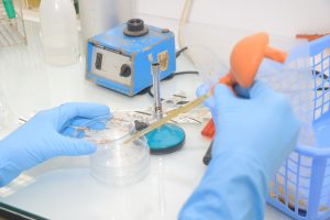 ENSEMENSEMENT SUR BOITE DE PETRI