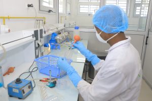 L'ENSEMENSEMENT DANS UN ENVIRONNEMENT ACEPTIQUE