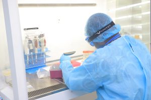 MANIPULATION DES ECHANTILLONS (BIOLOGIE MOLECULAIRE)