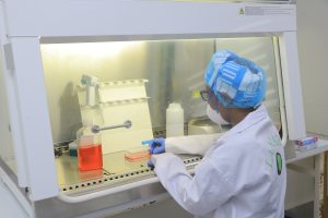 PASSAGE EN CULTURE CELLULAIRE. LABORATOIRE DE VIROLOGIE