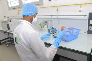 PHASE D'ENSEMENSEMENT