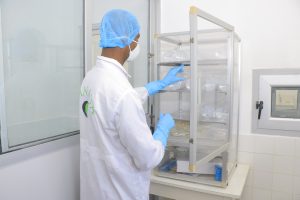 STOCK DE BOITE DE PETRI