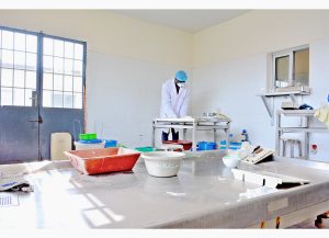 AUTOPSIE D'UNE VOLAILLE 1