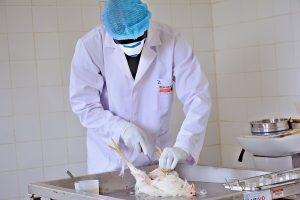 AUTOPSIE D'UNE VOLAILLE 2