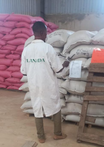 SELECTION D'ECHANTILLONS DE SEMENCES POUR ANALYSE-1