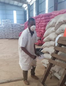 SELECTION D'ECHANTILLONS DE SEMENCES POUR ANALYSE-2