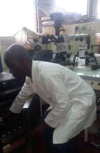 MANIPULATION DES ECHANTILLONS DES SEMENCES EN LABORATOIRE 1