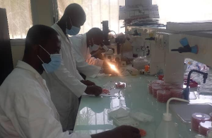 MANIPULATION DES ECHANTILLONS DES SEMENCES EN LABORATOIRE 2